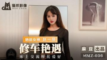 Domestic Madou AV Cat Claw Video MMZ036 Car repair encounter Zhao Yiman