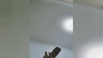 The best girl is here to save the wolf friend. The sexy and attractive big tits are kneaded by themselves and the tongue is stretched out to lick the wolf friend's big cock. The electric props are inserted into the pussy. Episode 04