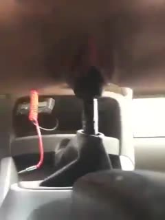 There are advantages for ladies to drive a manual transmission car. They get horny in broad daylight, and their little slutty pussy automatically shifts back and forth quickly. It's been a long time since you've made love with that beautiful wet pussy!