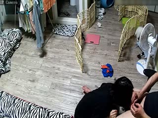 #Home webcam was secretly filmed by a young wife who couldn't have sex during her period, so she had to work hard to rub oil on her husband's penis and make a gurgling sound. Finally, she got a facial cumshot and a blowjob 6-24