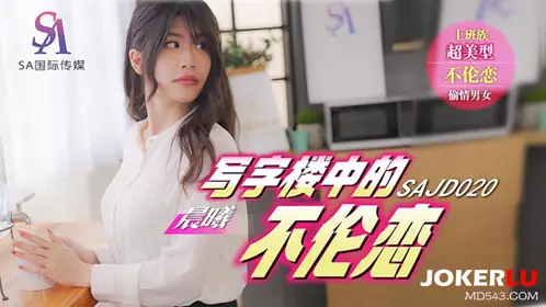 SA International Films x Jingdong Films.SAJD020. Dawn. Unethical Love in the Office Building