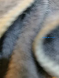 The old Chinese medicine SPA health care center, a young woman with white legs and buttocks, was trained by the massage technician's little brother to push her legs around and work crazily. I really envy the massage technician industry, which can fuck other people's wives every day.