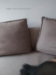 Wu Mengmeng Taiwan Madou Female Excellence Home Live Naked Temptation, Put on Fun Props Explode Chrysanthemum Cushion Sexy Big Ass