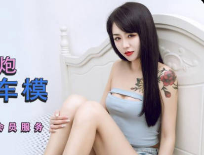 Jingdong Film JDYP001 Real Artillery Car Model-Lin Fengjiao