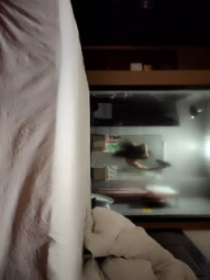 [Happy Three People], a senior single man in Beijing's wife-swapping circle, the hourly room of the hotel about one's wife is renewed, with strong breasts, delicate and beautiful lava, ultra-clear picture quality, and excellent works of passion.