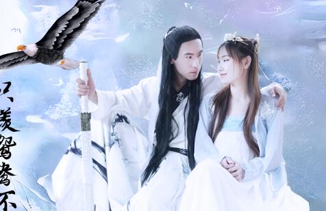 Jingdong Films JD027 The Return of the Condor Heroes