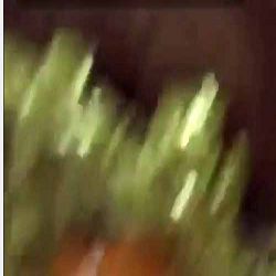 The best saucy Yiyi customized VIP video - oral sex, oral sex is absolutely amazing, and she also said 