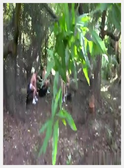 Gay men fisting sucking kissing Brian Bonds stops at