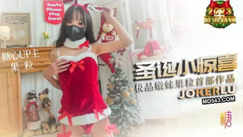 Sweetheart Vlog・Christmas surprise・MIKA fruit