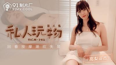 [91 Studio] 91CM-246 Private Playthings Episode 3 - Takanari Haruka