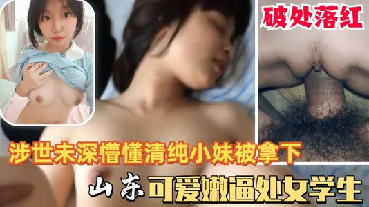 Cute, innocent, pure Shandong high school girl student's virginity was taken and the cabbage was pushed by the pig