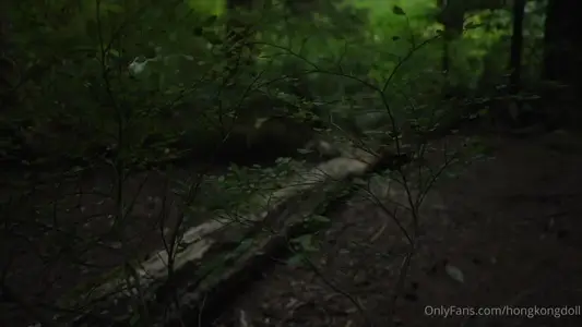 HongKongDoll Doll Sister-Forest Series Episode I-Old Meeting