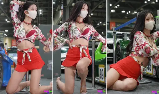 @ 20208025299 User Upload: Steal the Car Model