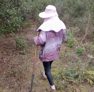 The Haijiao community and her mother successfully won the field battle on the second day when they went up the mountain to work.