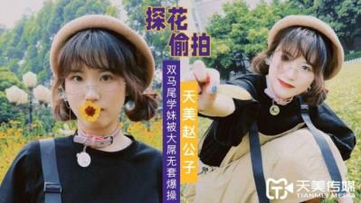 [Tianmei Media] Zhao Gongzi's exploration of flowers and double ponytail junior was inserted by a big cock without a set.