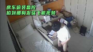 The landlord secretly installed the surveillance and captured the video of the fine dog making a coquettish plane.