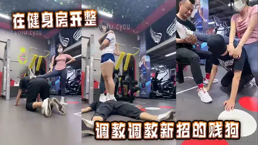 In the gym, I set up a new cheap dog.