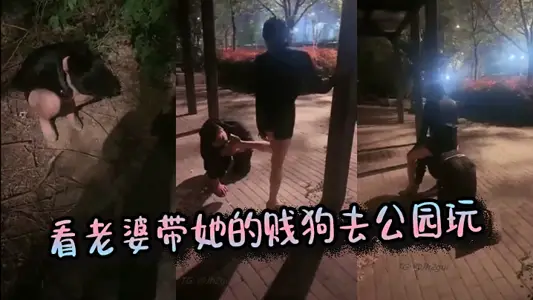 Watch the wife take her bitch dog to the park to play